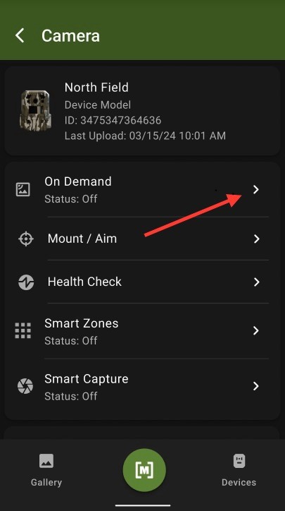 On Demand 1.jpg