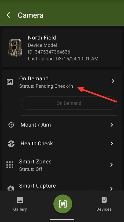 On Demand P.jpg