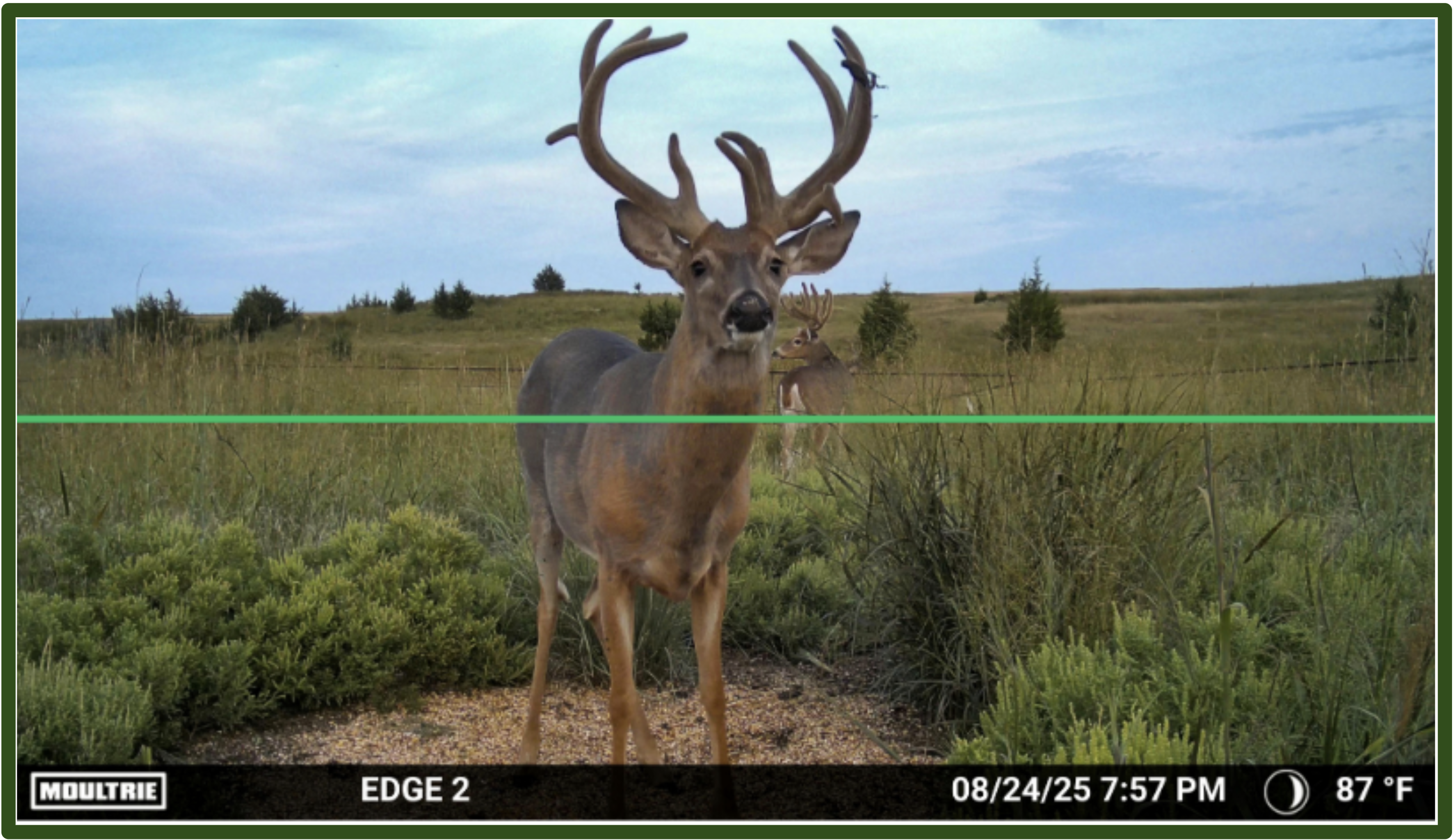 Screenshot 2025-10-03 at 3.36.11 PM.png